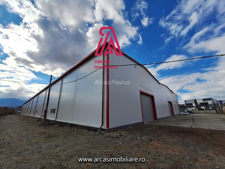 HALA DE INCHIRIAT-SPATIU INDUSTRIAL, 6857 MP-PARCUL INDUSTRIAL MARSA! - 11
