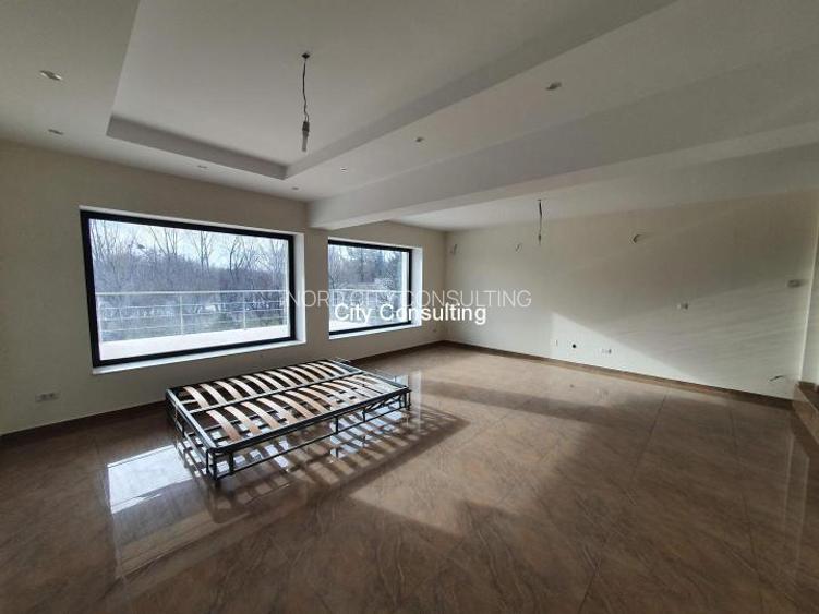 Vanzare vila Mogosoaia - Chitila Lac - 5