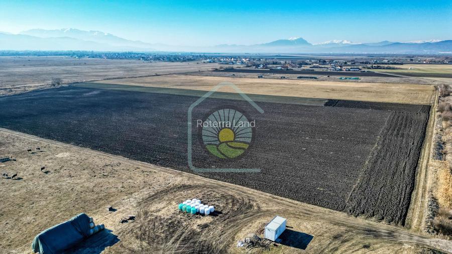 TEREN STUPINI-COMISION 0 - 6