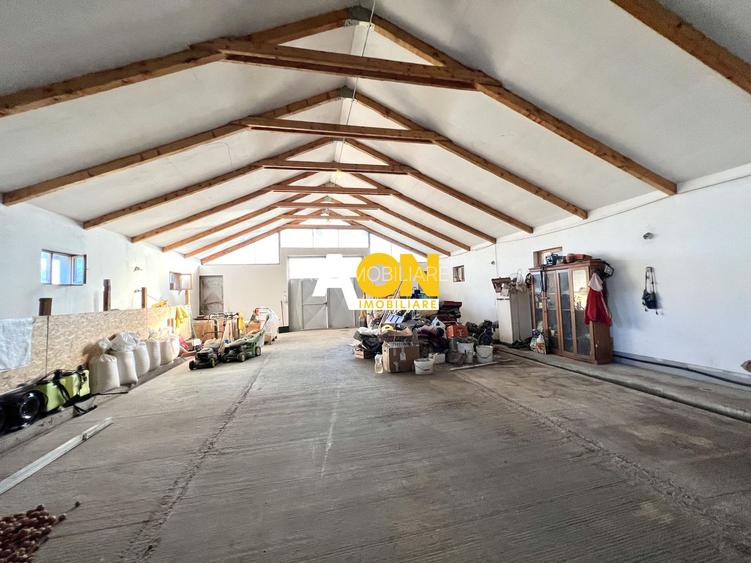 Ferma de vanzare cu 550MP utili si 27.500MP teren la asfalt - 20