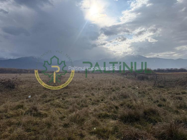 Teren de vânzare 3600 mp, Valea Avrigului, Sibiu, zonă turistică cu potenți - 2