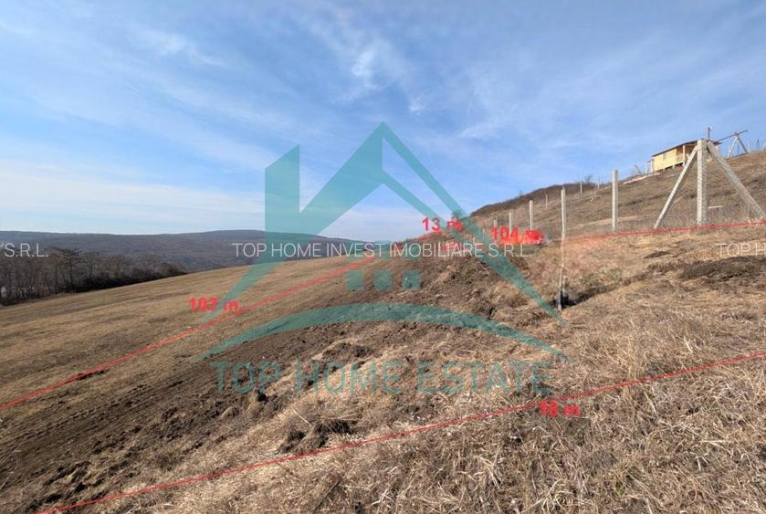 De vanzare terenuri in Popesti, comuna Baciu! Oportunitate de investitie! - 2