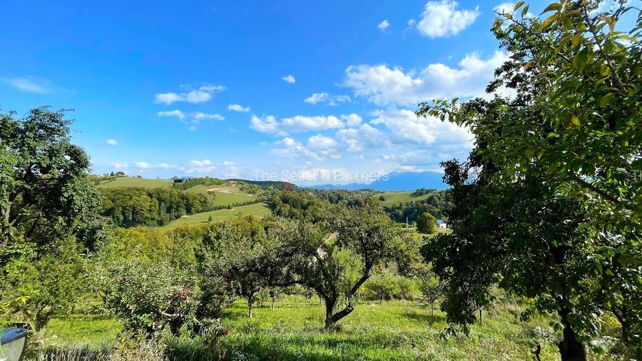 Complex de 3 case pe 18000 mp teren - 39