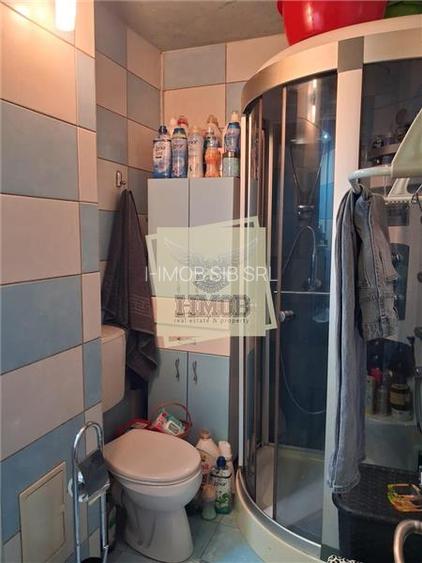 Apartament decomandat 1 camera Pictor Brana - 10