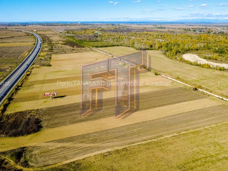 Terenuri industriale cu deschidere la A1, km 64 – Jugureni, Dâmbovița - 10