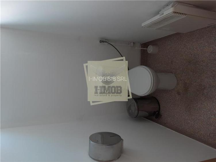 Hale de inchiriat cu suprafata intre 100-1700 mp in Cisnadie - 10