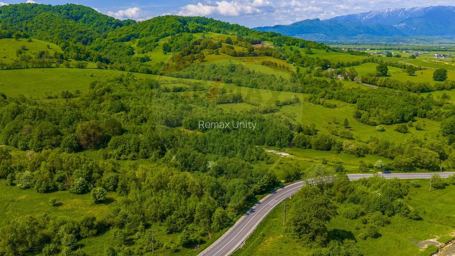 Teren 1ha Valea Glăjeriei - Rasnov | Comision 0% - 9