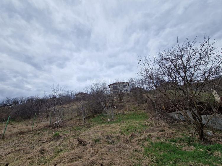 Teren cu toate utilitatile 584 mp, Dezmir zona str Criseni - 2