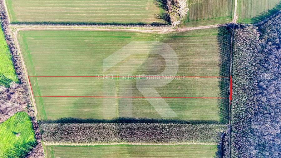Teren langa Manastirea Sfantul Nicolae Sitaru - 2