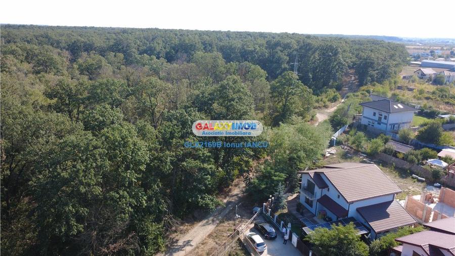 Vila cu garaj Padurea Pantelimon - 4 camere - 6