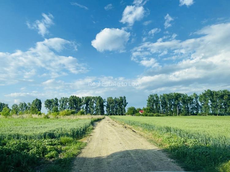 Teren rezidential langa lac Snagov in Silistea Snagovului iesire A3 - 5