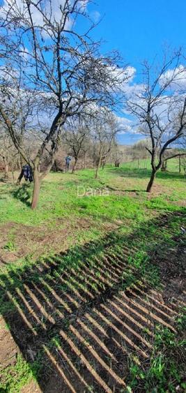 Casa de vacanta/locuit Arges - 9