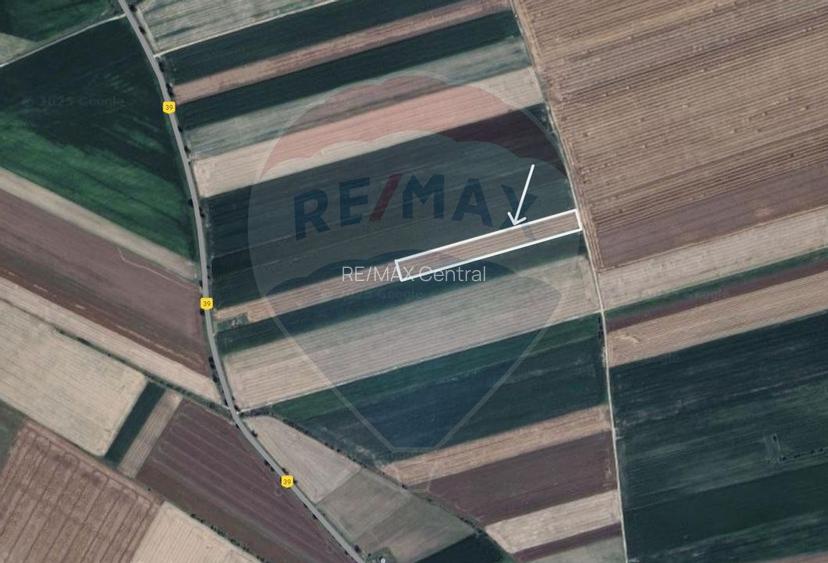 Teren extravilan 2 parcele de 9.750 mp - Satul Nou, comuna Hălchiu - 5