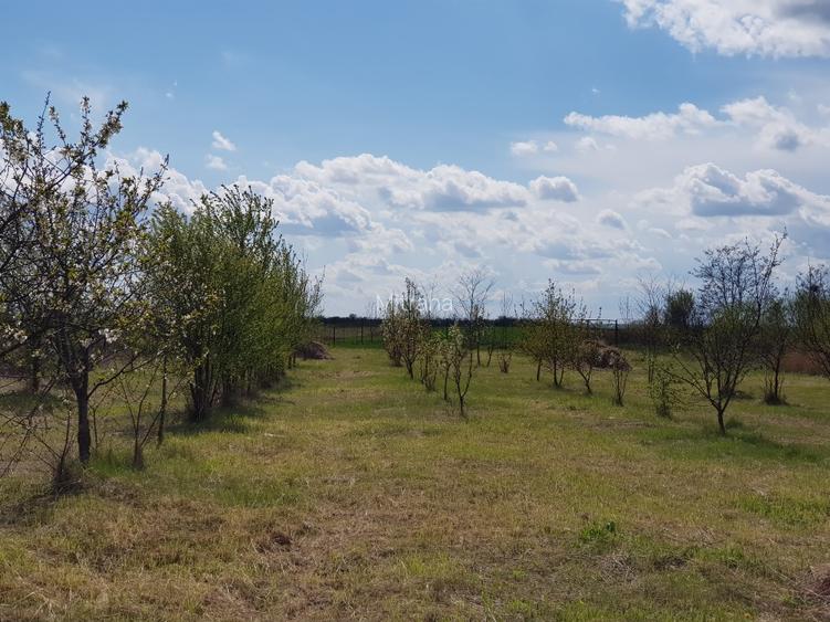 VISUL TĂU LA ȚARĂ, LA DOAR 60 KM DE BUCUREȘTI! Teren intravilan 8402 mp + Casă  - 14