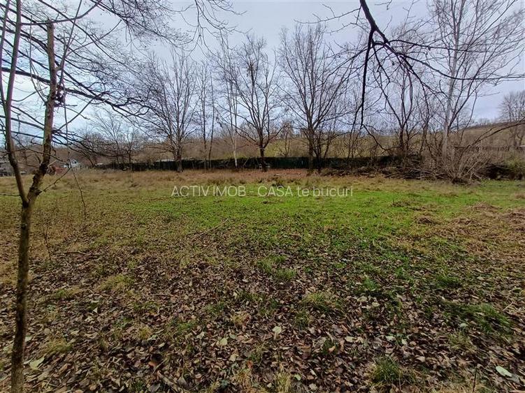 Resita, Teren Drept Intravilan, Langa Prau si Drum, Parcelabil, 4500 Mp., 15 Eur - 17