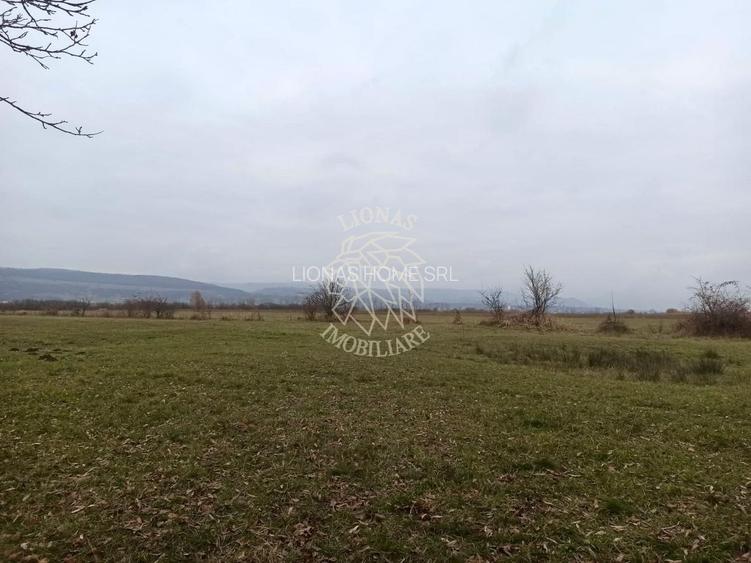 Teren 19611 mp (1,96 Ha)-ideal agricultura, investitie-Zona Aerodrom - 3