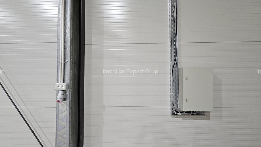 Hale noi in zona industriala Progresul, Jilava - 9