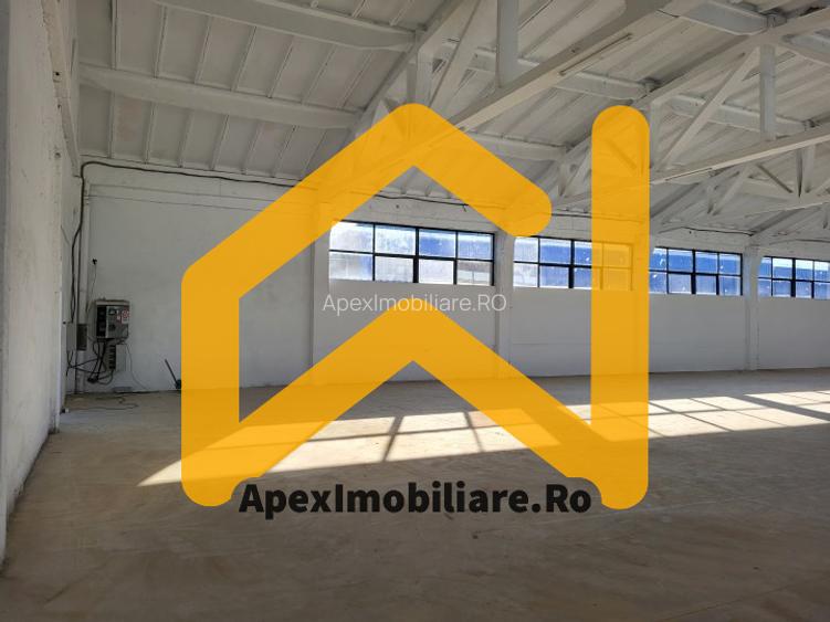 Hala Industriala Xenia – 1800 mp, Acces TIR, Parcare 50 Auto - 9