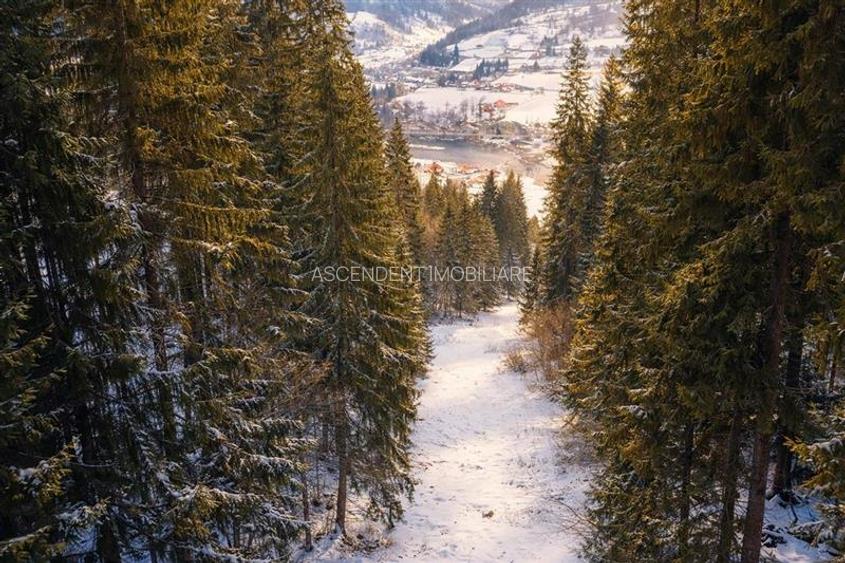 FILM!Teren 7.800mp,fosta partie de schi,investitie turistica/agrement,Lunca Brad - 2