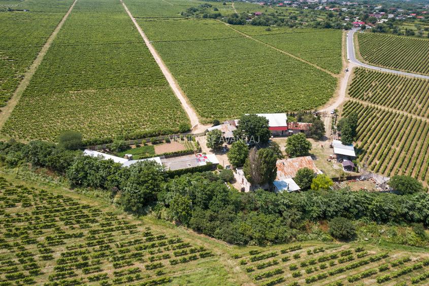 Cramă complet funcțională in inima Podgoriei Odobești - 2