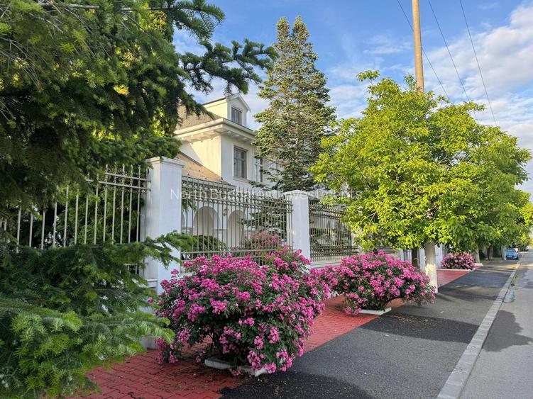 VILA 9 CAMERE - OTOPENI - COMISION 0% - 6