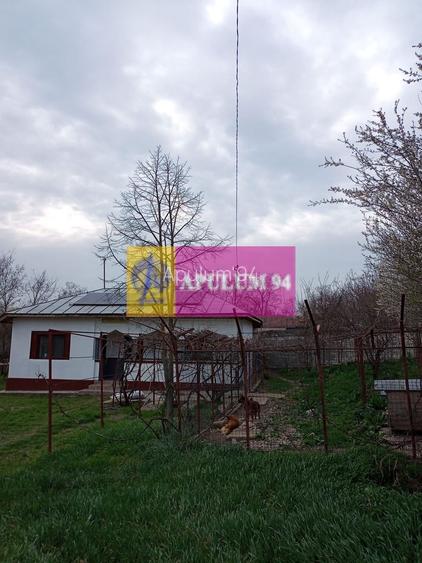 GIURGIU - COM. BUCSANI (SAT OBEDENI) CASA 2 CAM DE VANZARE - 5