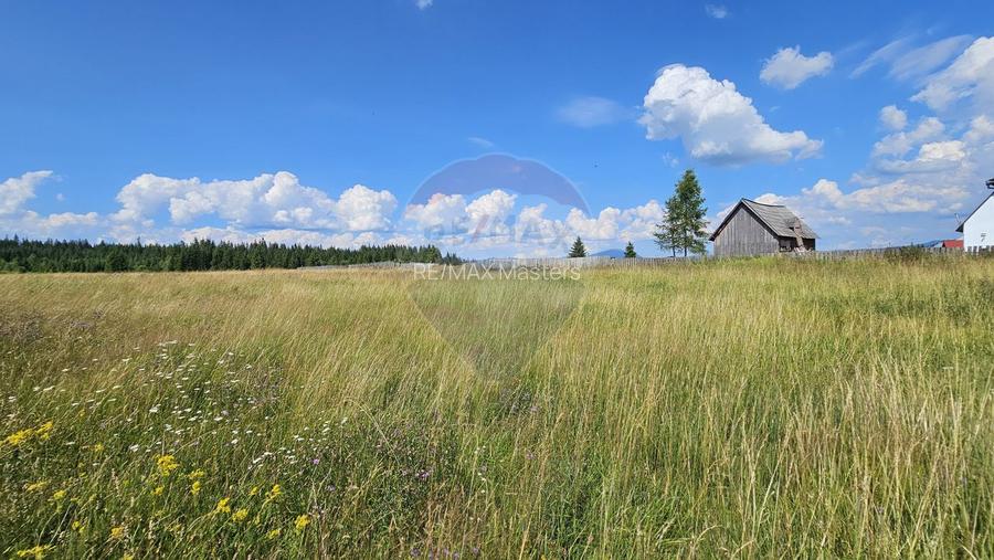 Teren parțial intravilan 30,930 mp Poiana Stampei-DN E58, Suceava - 10
