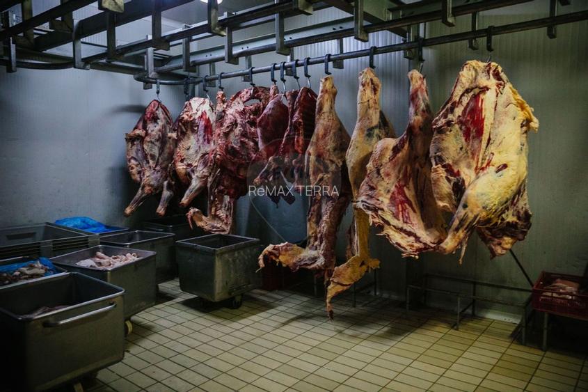 Spațiu industrial de 1,700mp de închiriat în zona Vasile Alecsandri - 13