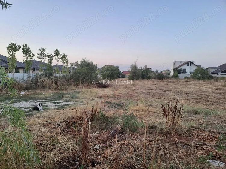 De vanzare teren intravilan 4685 mp, Cornetu-aproape de A0 - 5