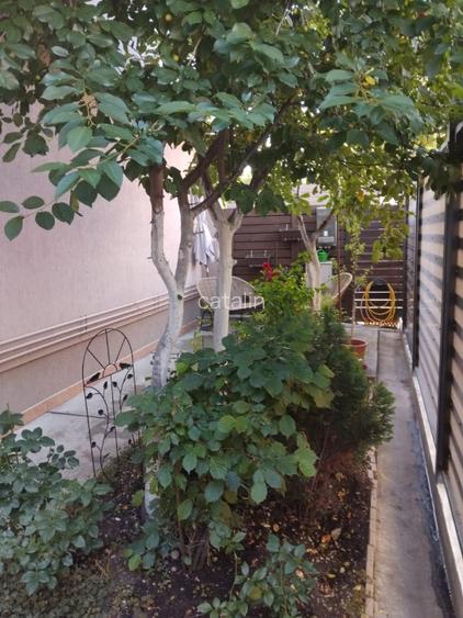 particular, 4 camere- duplex et(2 si 3) - vila brancoveanu, str. Farului, superb - 4