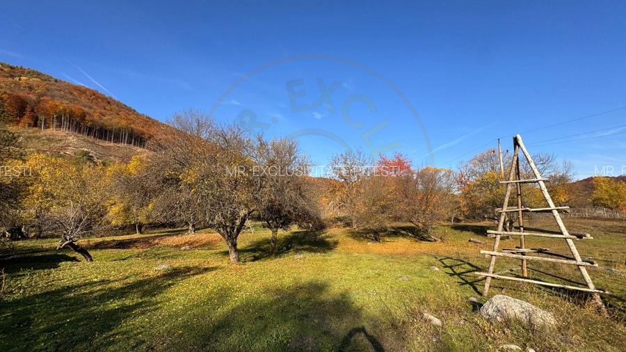 Teren Salatrucu - 7500 mp - 4