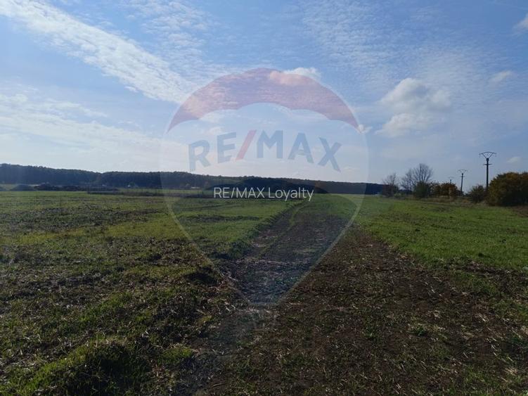 Teren 800mp Ghermanesti / Soseaua Ghermanesti - 6