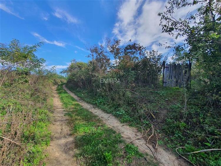 Teren de vanzare in Hemeius Margineni, judetul Bacau - 7