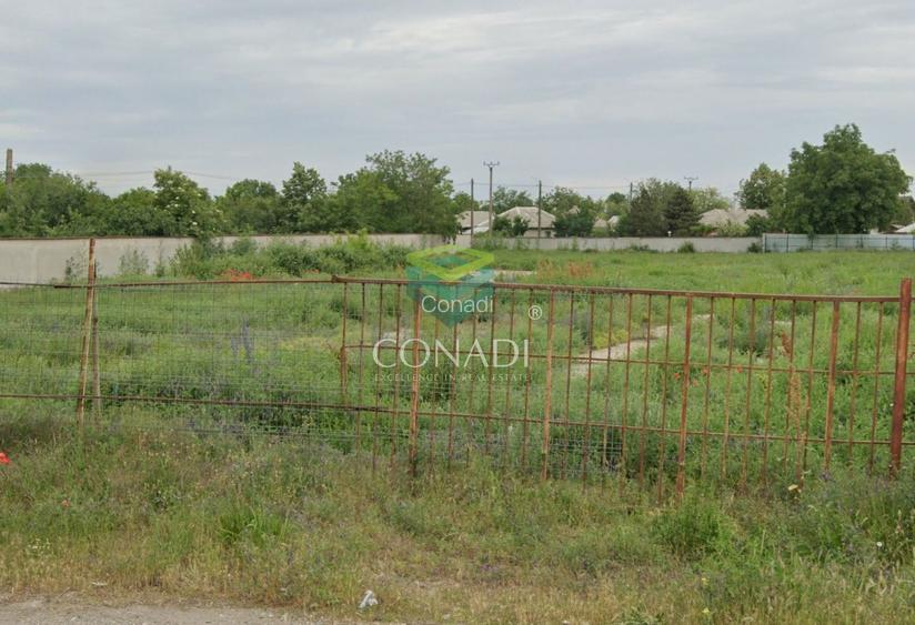 Teren 10000mp Intravilan Dor Marunt deschidere 100m - 2