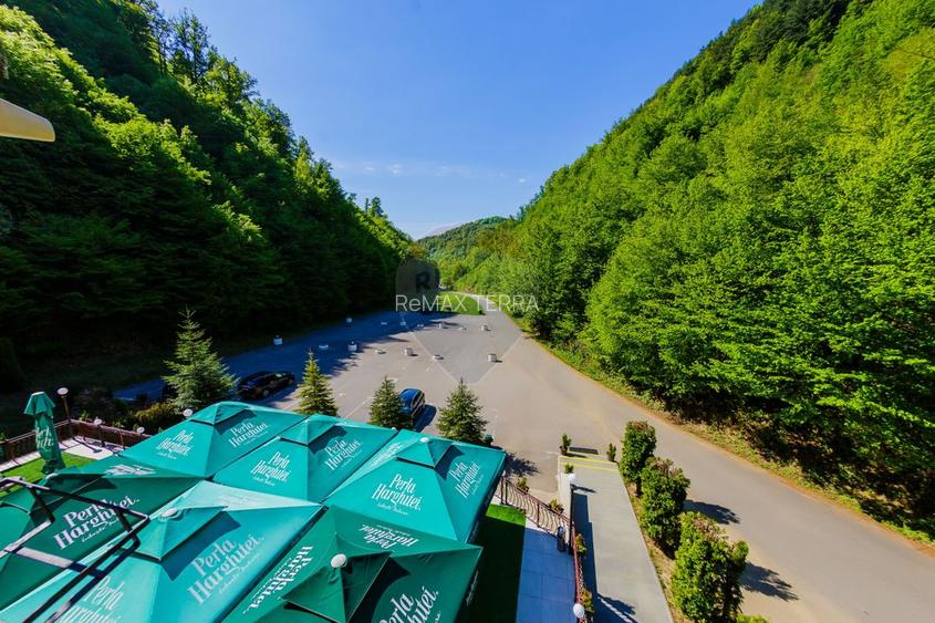 REFUGIU MONTAN CU FARMEC AUTENTIC - DE VANZARE - 18