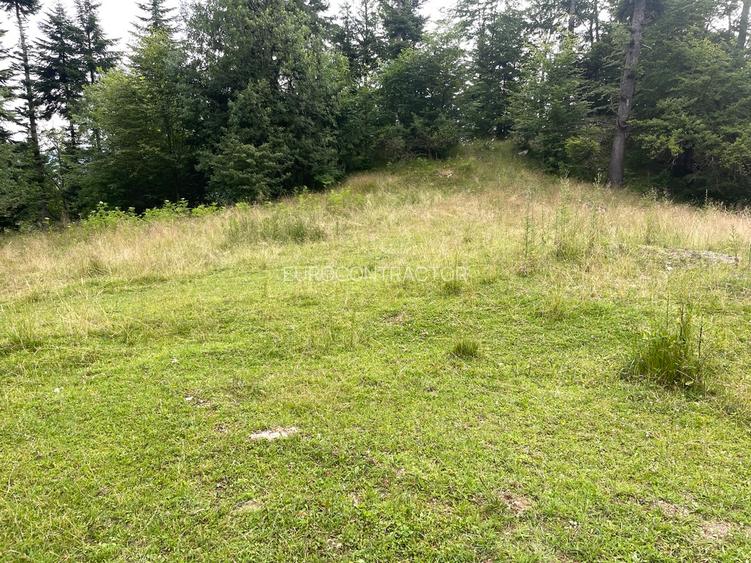 Teren intravilan dezvoltare turistica Hoteluri/Pensiuni S+P+2E+M - 14