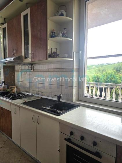 Casa de inchiriat cu 5 dormitoare in zona Gheorghe Doja - 8