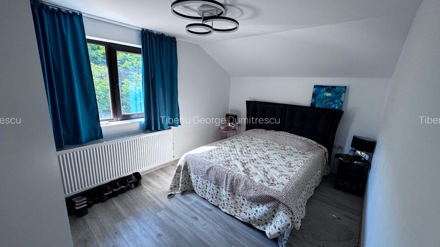 Casa Cartier Dealul cu Tei - 12