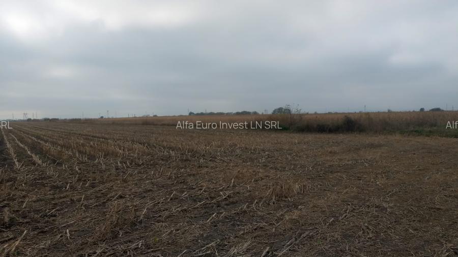 Teren intravilan 500mp in Brasov - 6