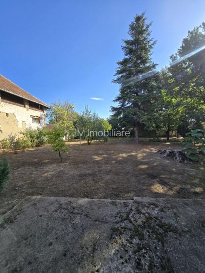 Cenad-Casa individuala -teren 549mp - 9