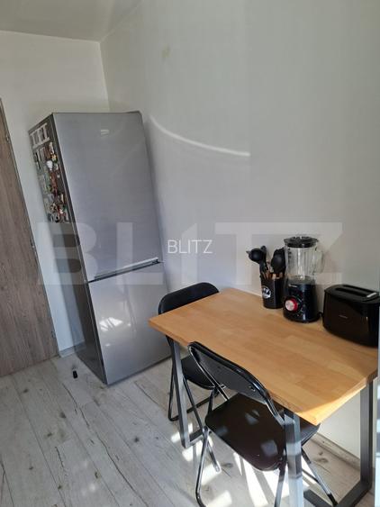 Apartament decomandat, mobilat si utilat, parcare inclusa in pret, zona Eroilor - 12