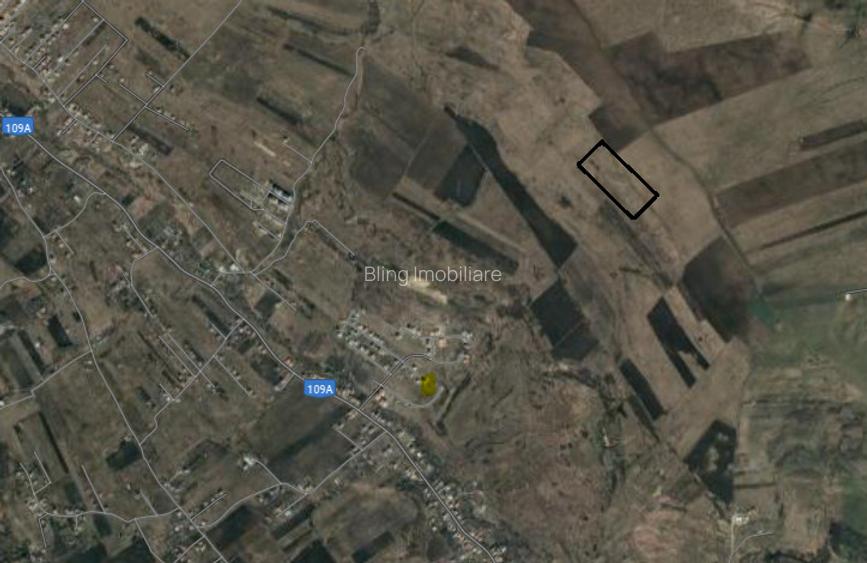 Teren extravilan de vanzare, 16810 mp, zona Valea Chintaului - 2