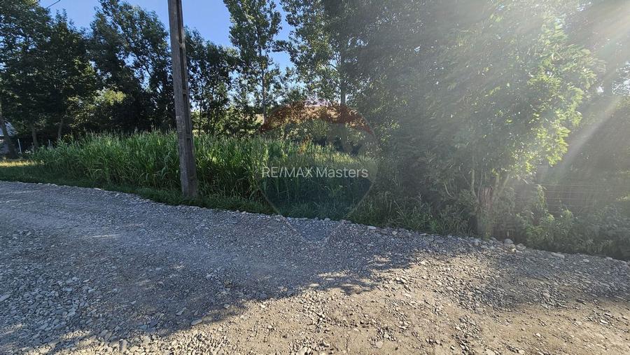 Teren intravilan, 7500 mp in Moara Carp / Strada Eternitatii-Suceava - 11