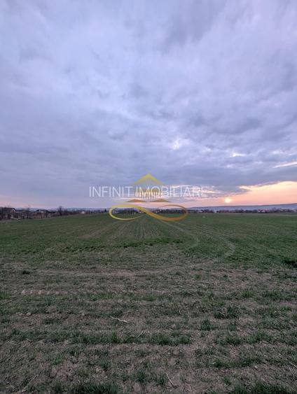 TEREN INTRAVILAN IN LILIECI, BACAU - 4
