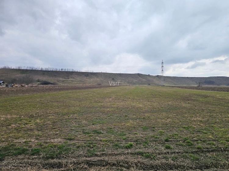 Oportunitate investitie – Teren intravilan in Bacau - 5