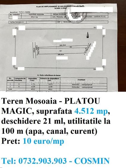 Terenuri Trivale, diverse suprafete, utilitati - 7