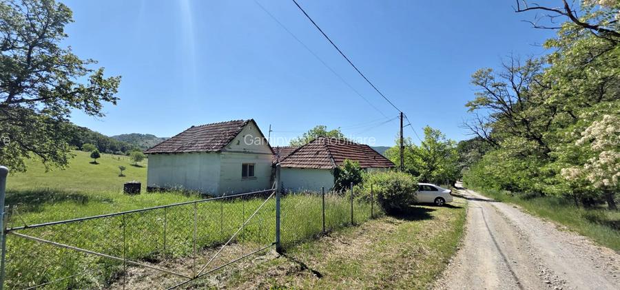 Casa de vanzare si teren de 24000 mp in Fasca, langa padure, 45 km de Oradea - 4