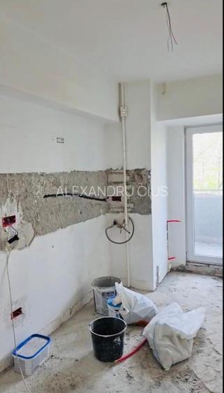 Bd Decebal nr 2/Rond Alba Iulia  - 8