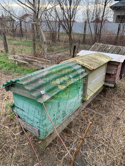 Casa verde ,de vanzare - 10