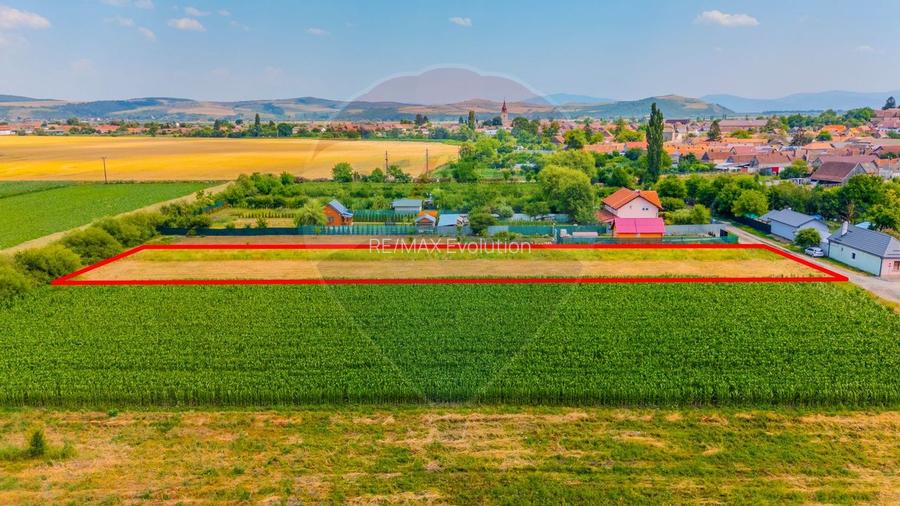 COMISION 0% | Teren intravilan | Bod, strada Avram Iancu - 3